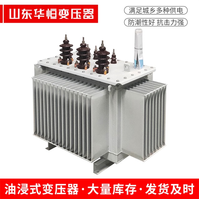S13-10000/35桃城桃城桃城油浸式变压器厂家